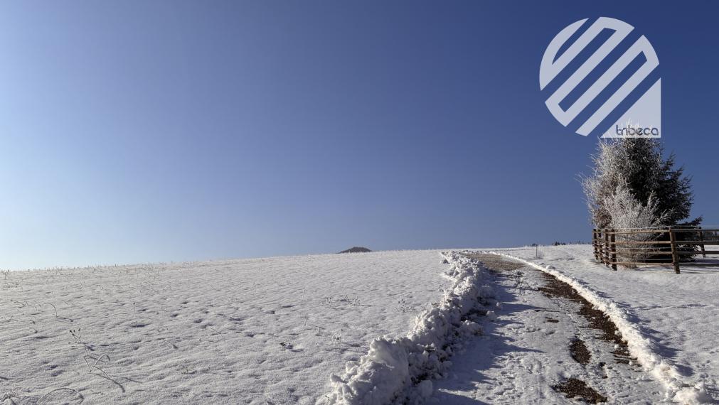 Na predaj čarovný rekreačný pozemok pri lese, 892 m²