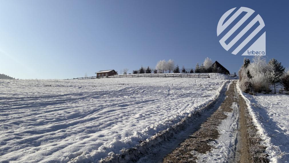 Na predaj čarovný rekreačný pozemok pri lese, 892 m²