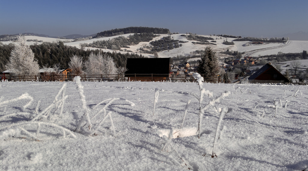 Na predaj čarovný rekreačný pozemok pri lese, 892 m²