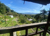 Teplička nad Váhom-Dubeň – 414 m² záhrada, fóliovník, studňa, chatka. - fotografia 1