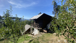 Teplička nad Váhom-Dubeň – 414 m² záhrada, fóliovník, studňa, chatka. - fotografia 15