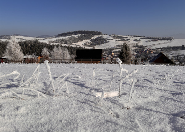 Na predaj čarovný rekreačný pozemok pri lese, 892 m²