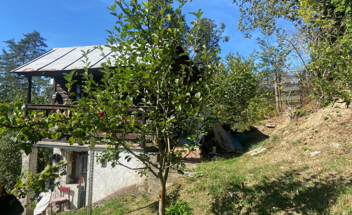 Teplička nad Váhom-Dubeň – 414 m² záhrada, fóliovník, studňa, chatka. - fotografia 5